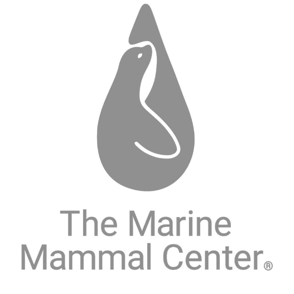 marine mammal center